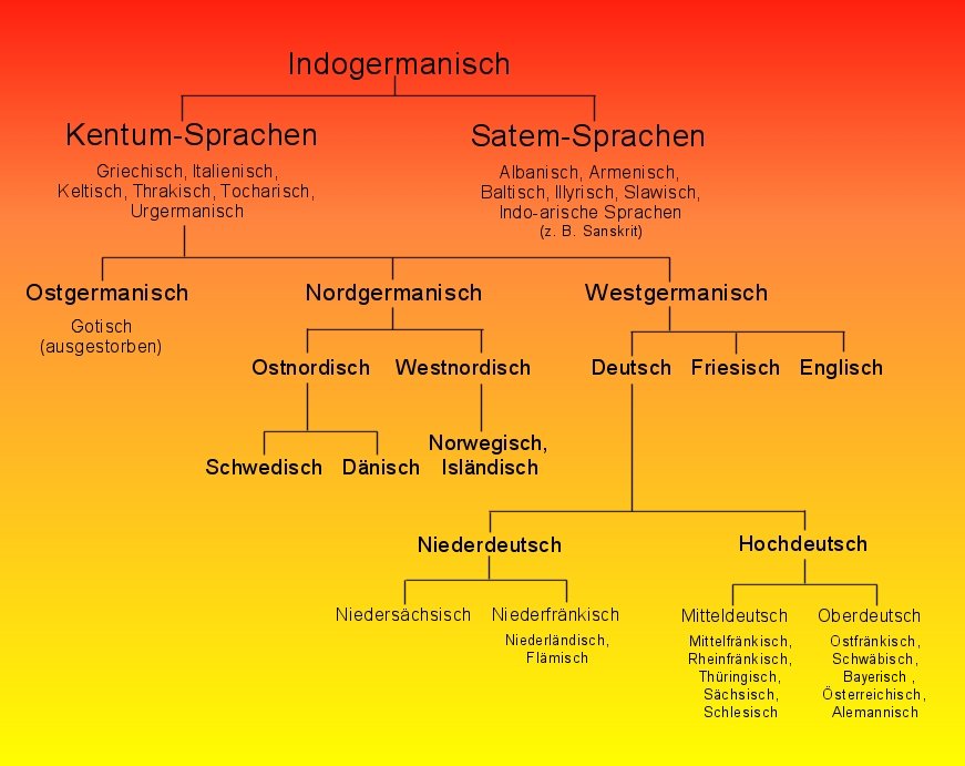 German/English similarities | German Language Workshop